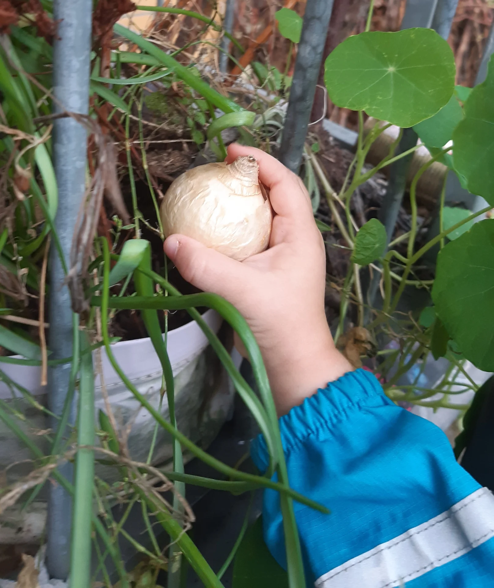 Foto der Galerie: Freilandpädagogischer Ansatz