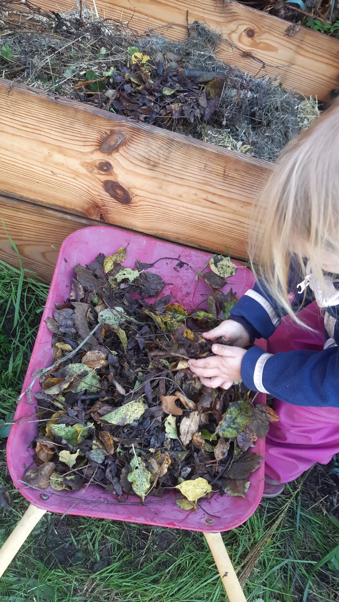 Foto der Galerie: Freilandpädagogischer Ansatz