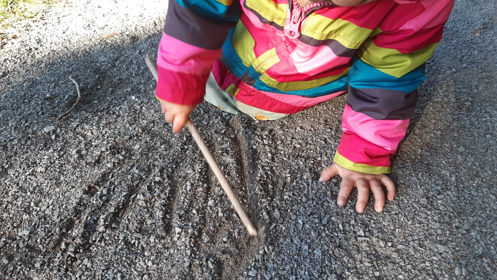 Foto der Galerie: Freilandpädagogischer Ansatz