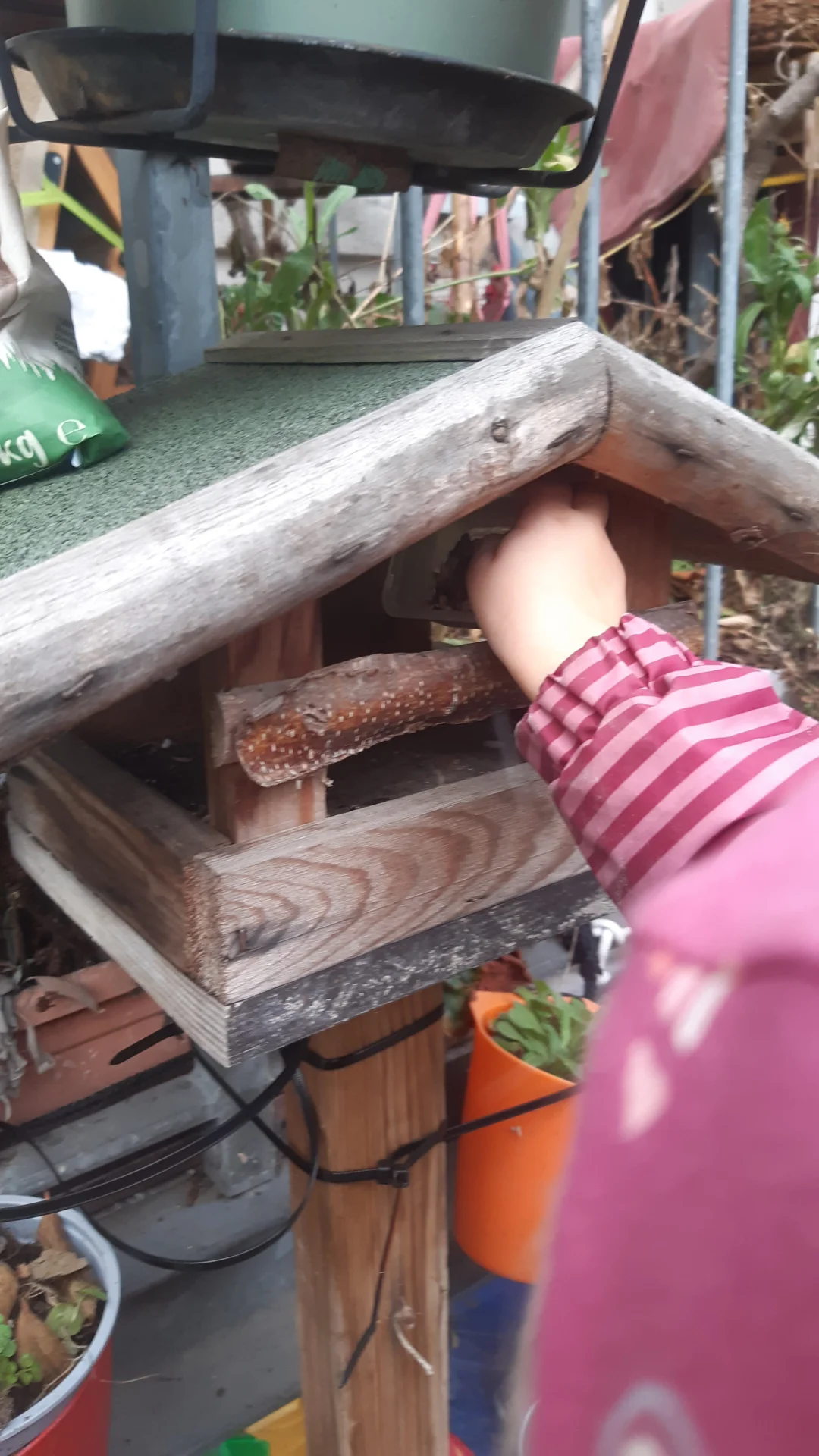 Foto der Galerie: Freilandpädagogischer Ansatz