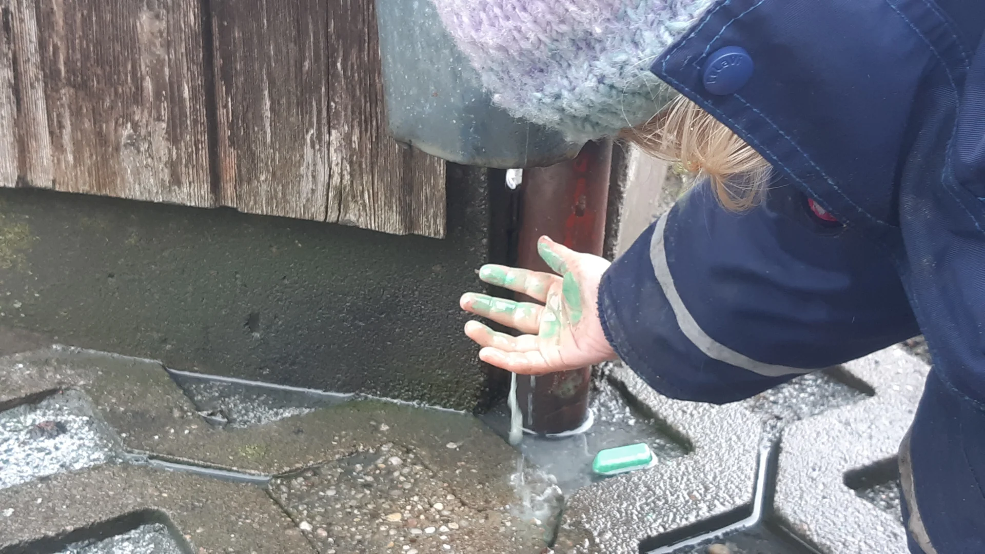 Foto der Galerie: Freilandpädagogischer Ansatz