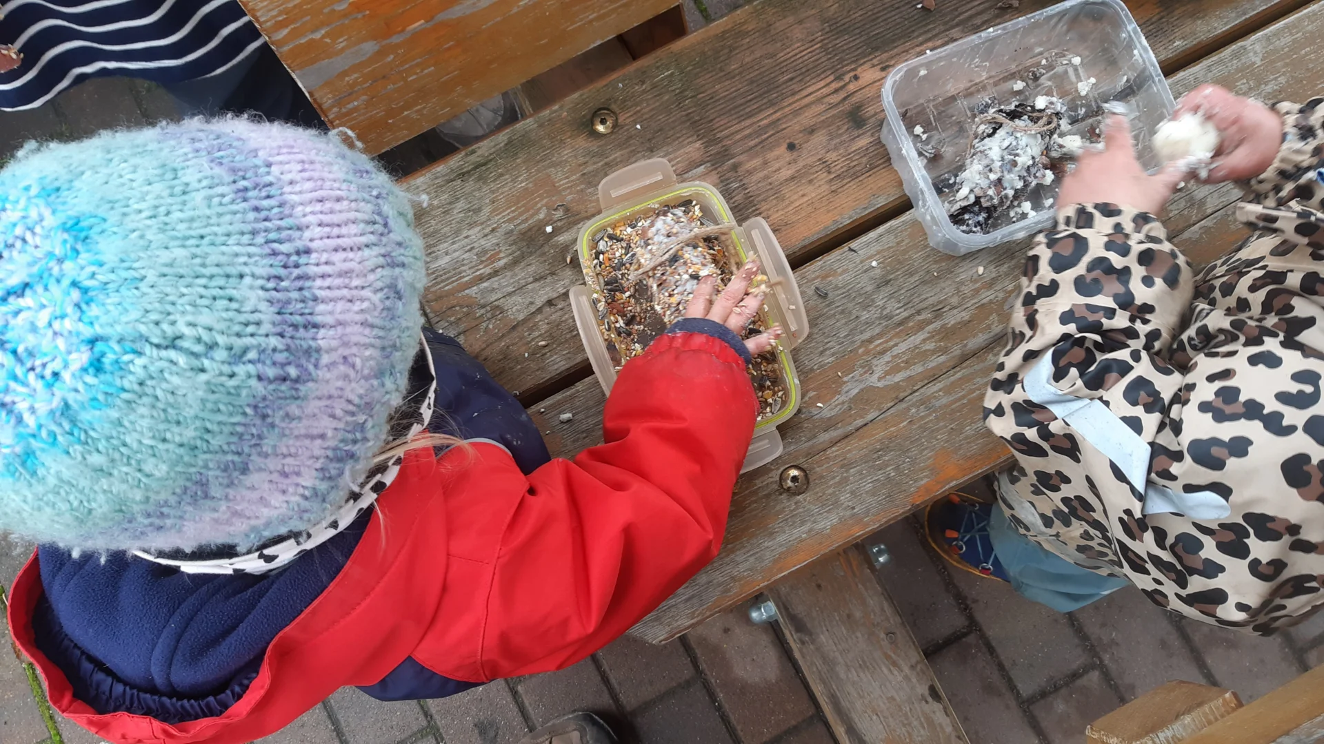 Foto der Galerie: Freilandpädagogischer Ansatz