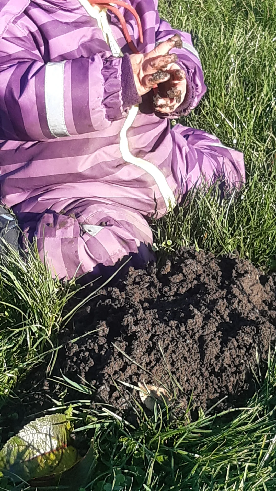 Foto der Galerie: Freilandpädagogischer Ansatz