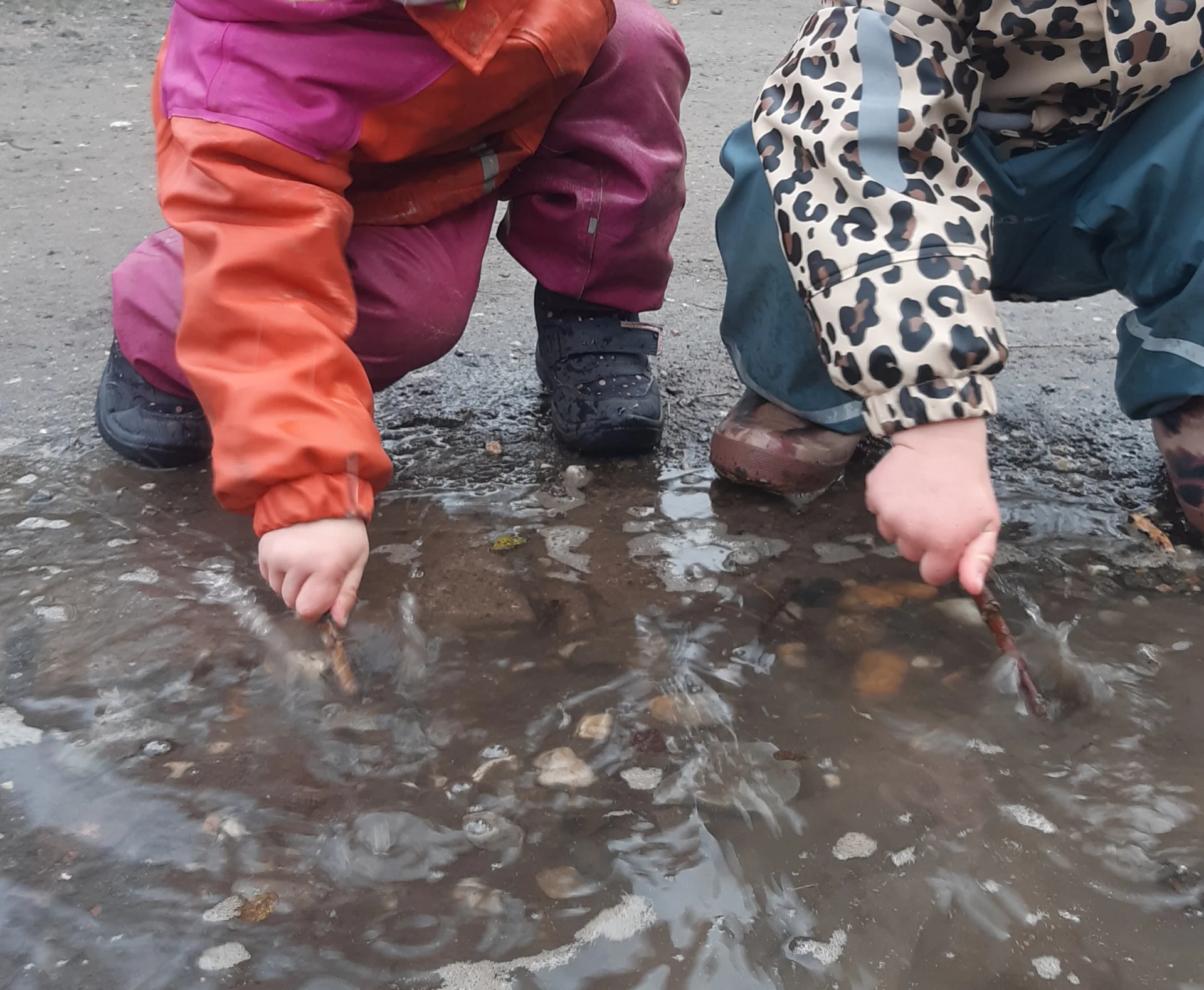 Foto der Galerie: Freilandpädagogischer Ansatz