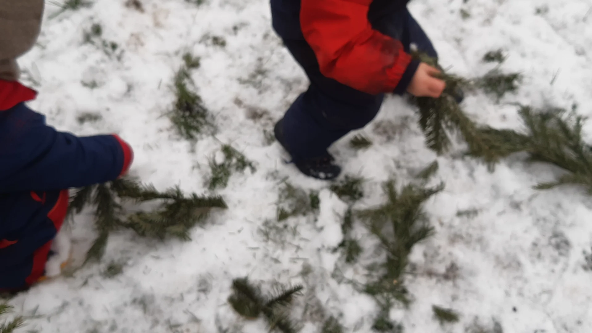 Foto der Galerie: Freilandpädagogischer Ansatz