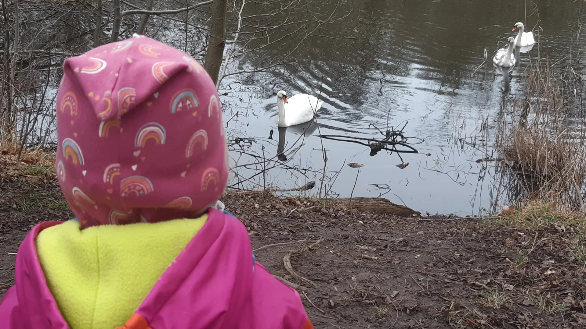 Foto der Galerie: Freilandpädagogischer Ansatz