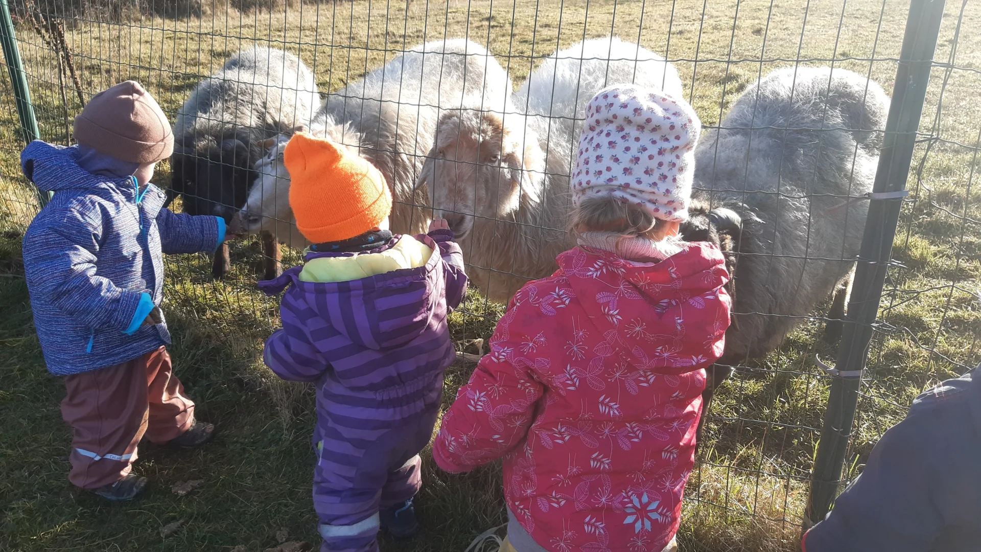 Foto der Galerie: Freilandpädagogischer Ansatz