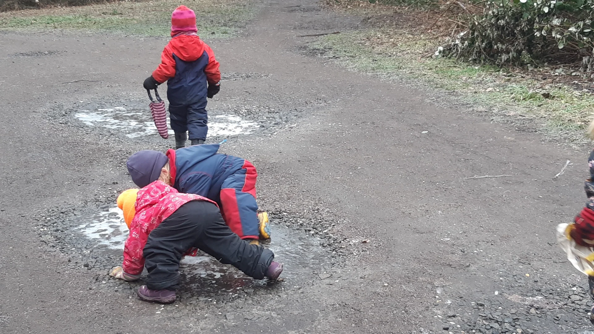 Foto der Galerie: Freilandpädagogischer Ansatz