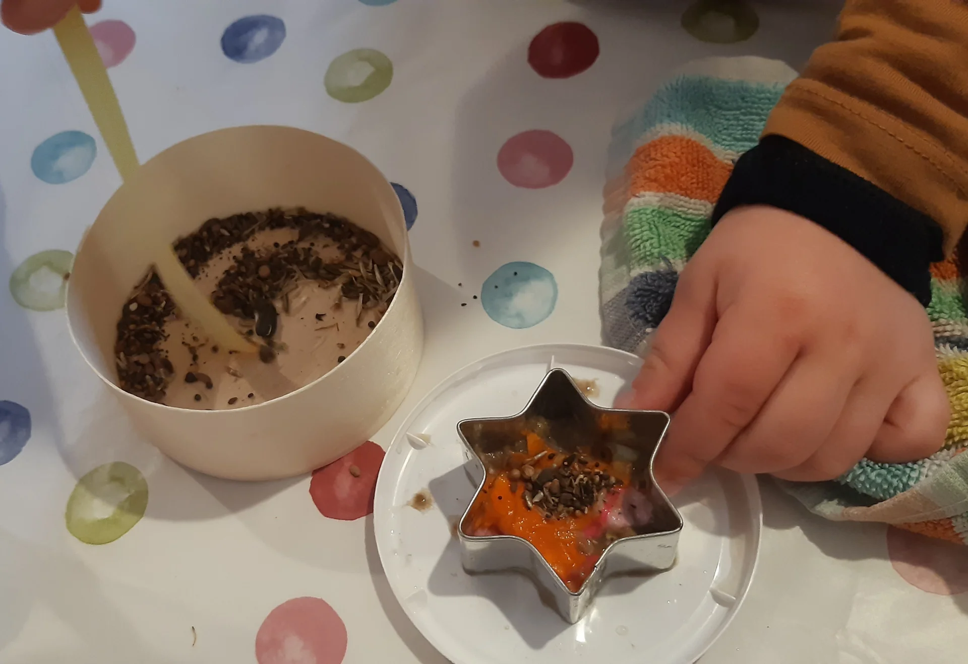 Foto der Galerie: Freilandpädagogischer Ansatz