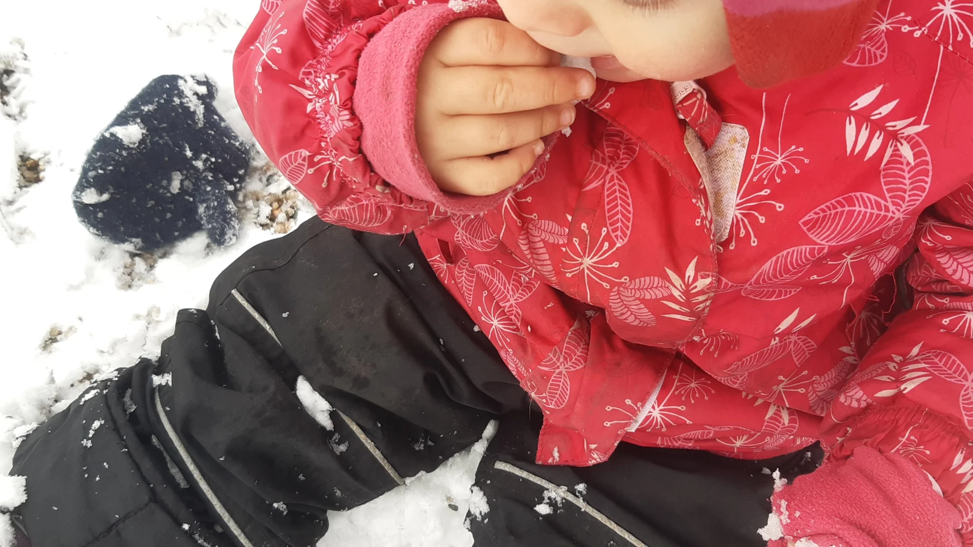 Foto der Galerie: Freilandpädagogischer Ansatz