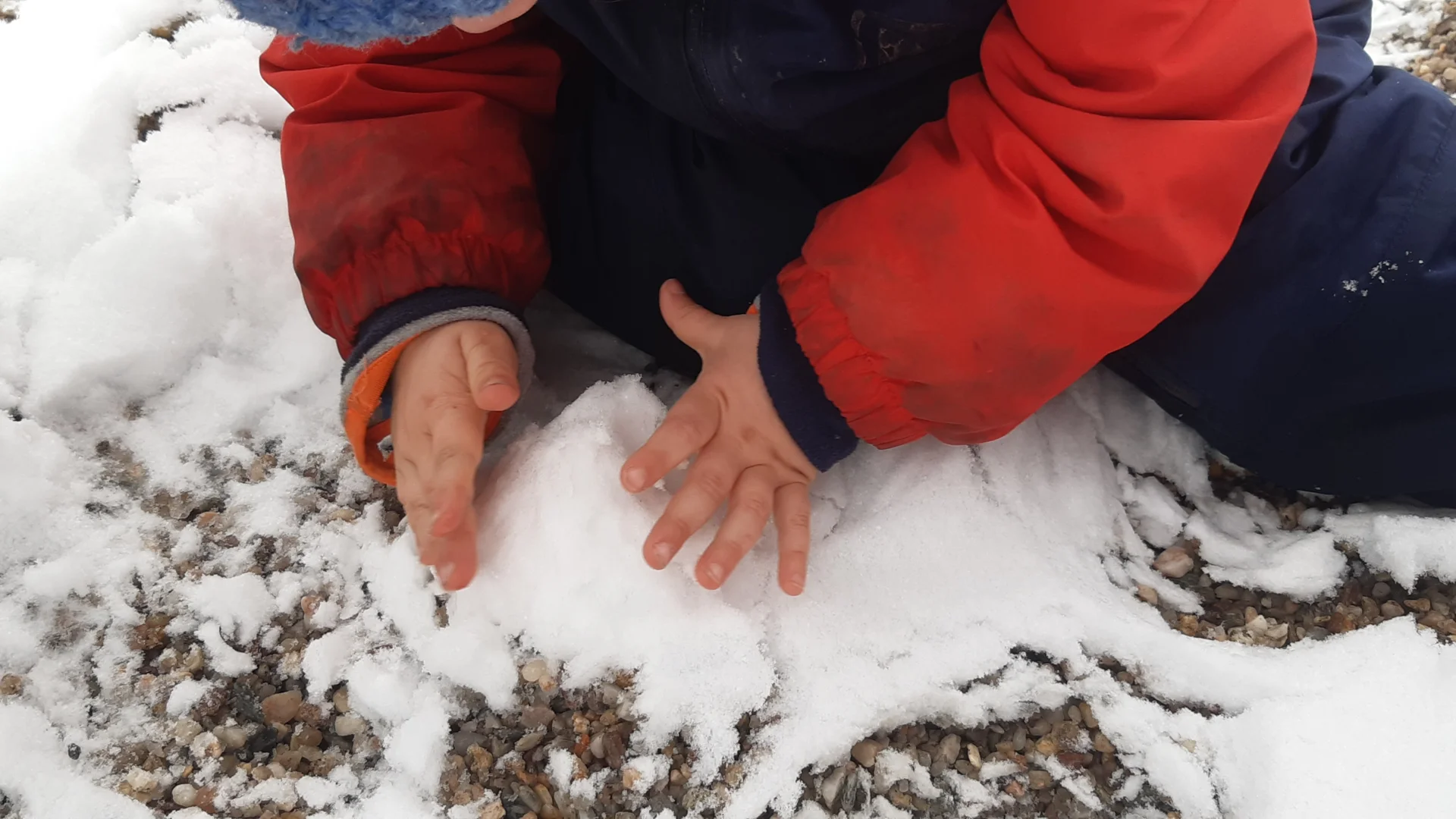 Foto der Galerie: Freilandpädagogischer Ansatz