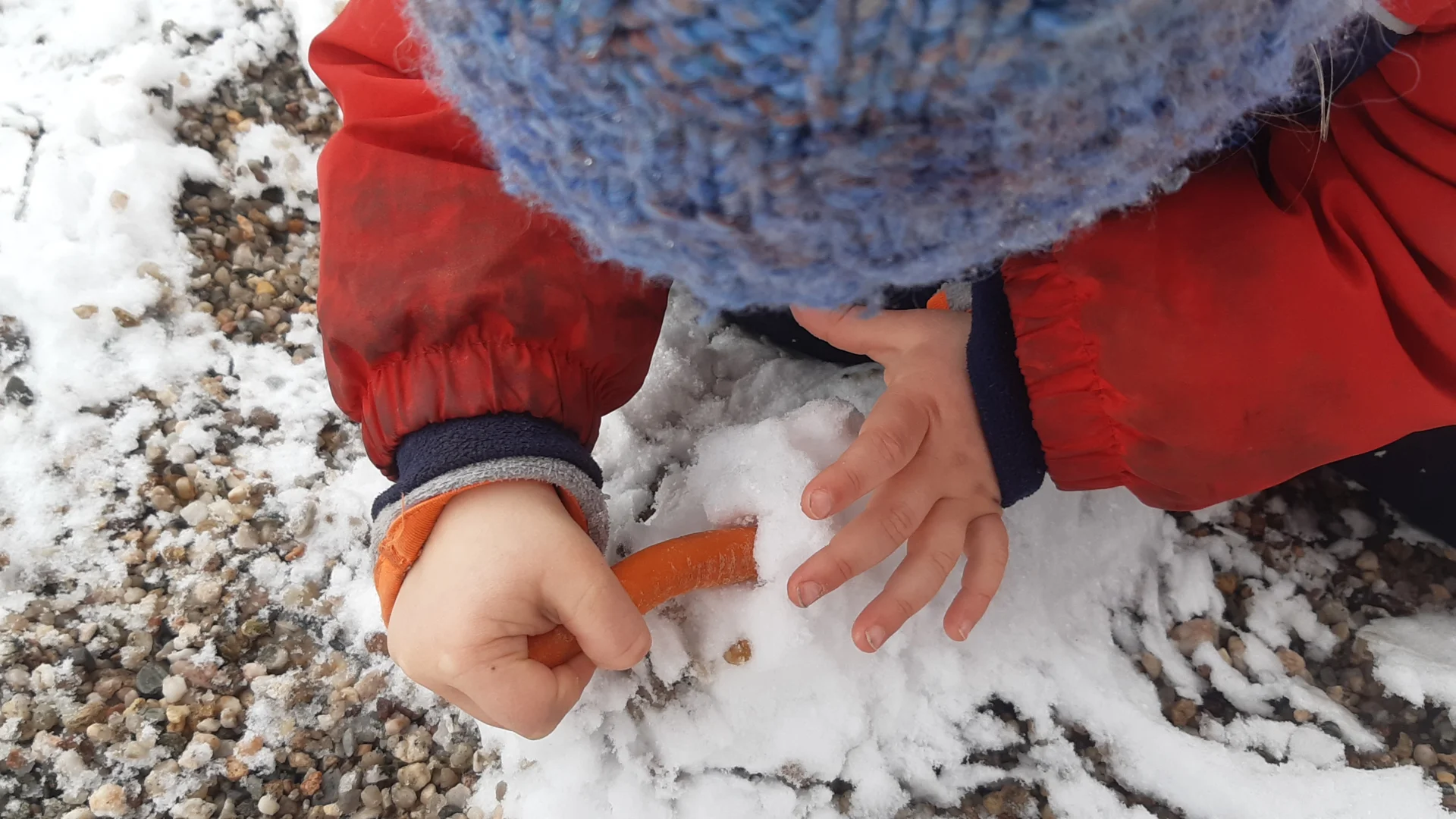 Foto der Galerie: Freilandpädagogischer Ansatz