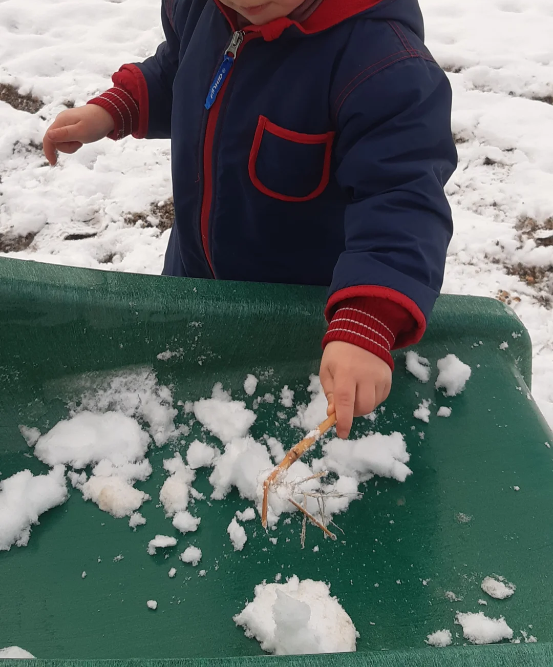 Foto der Galerie: Freilandpädagogischer Ansatz