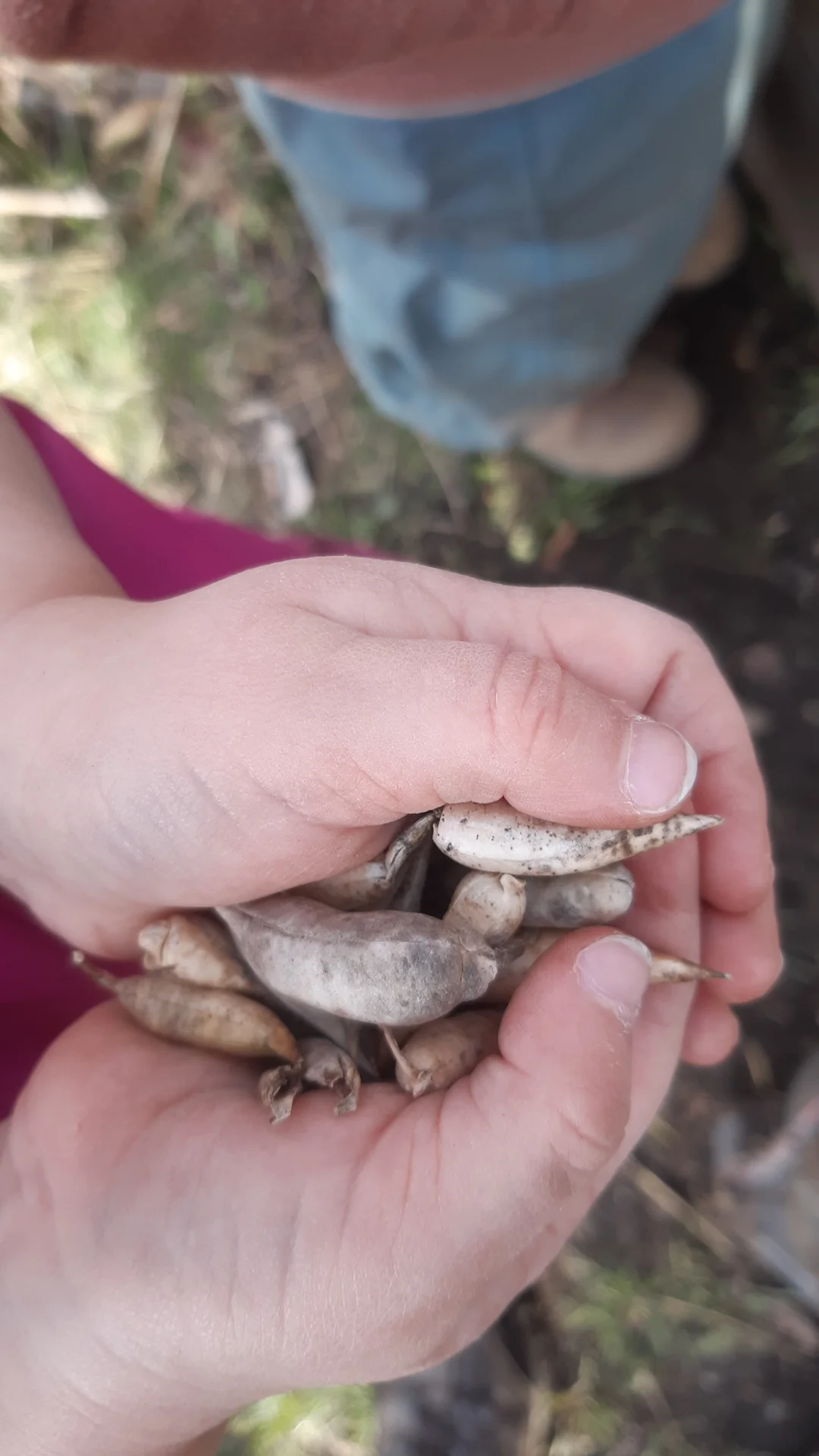 Foto der Galerie: Freilandpädagogischer Ansatz