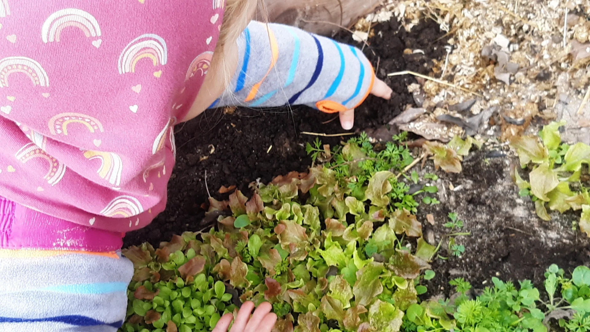 Foto der Galerie: Freilandpädagogischer Ansatz