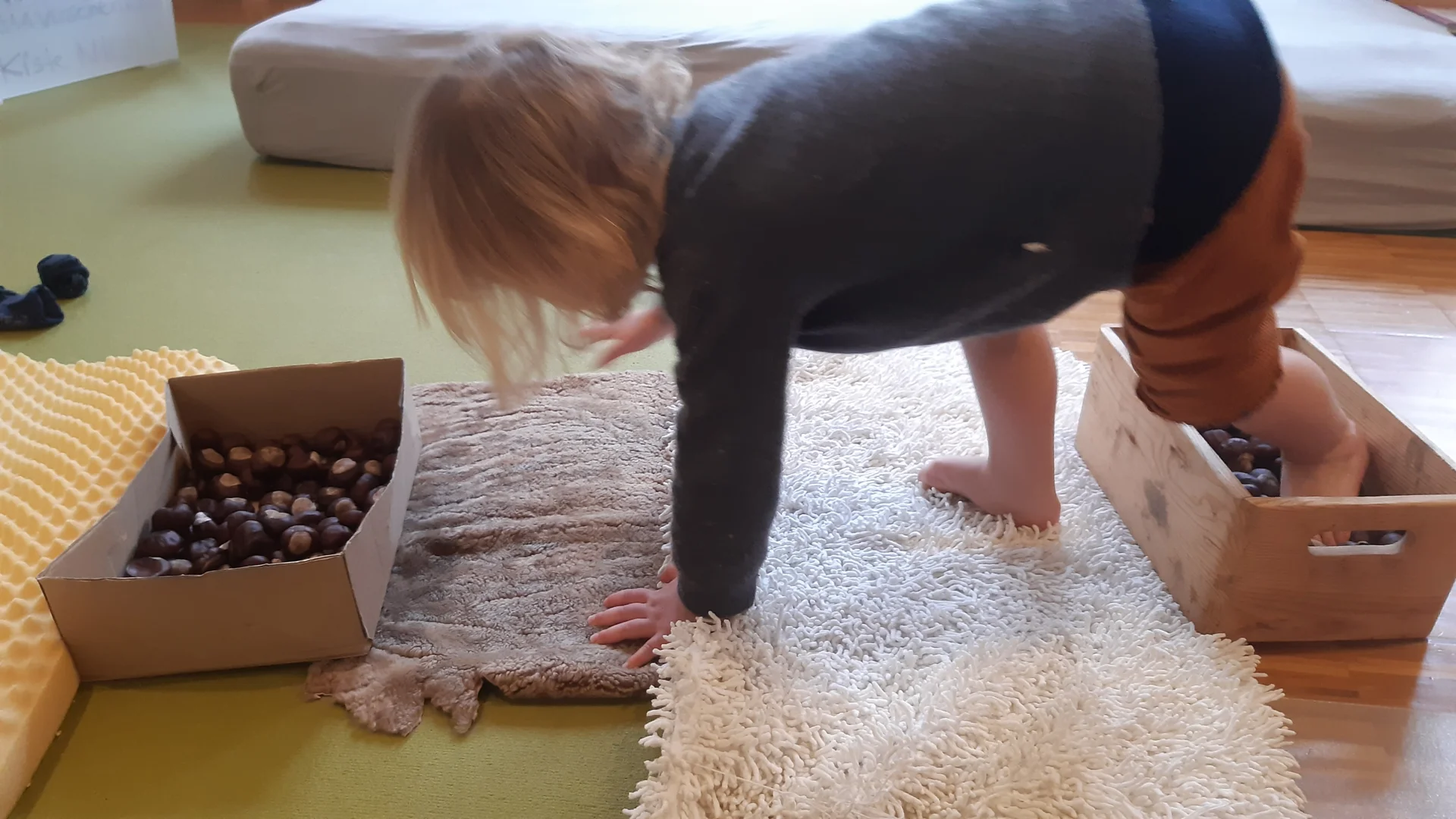 Foto der Galerie: Freilandpädagogischer Ansatz