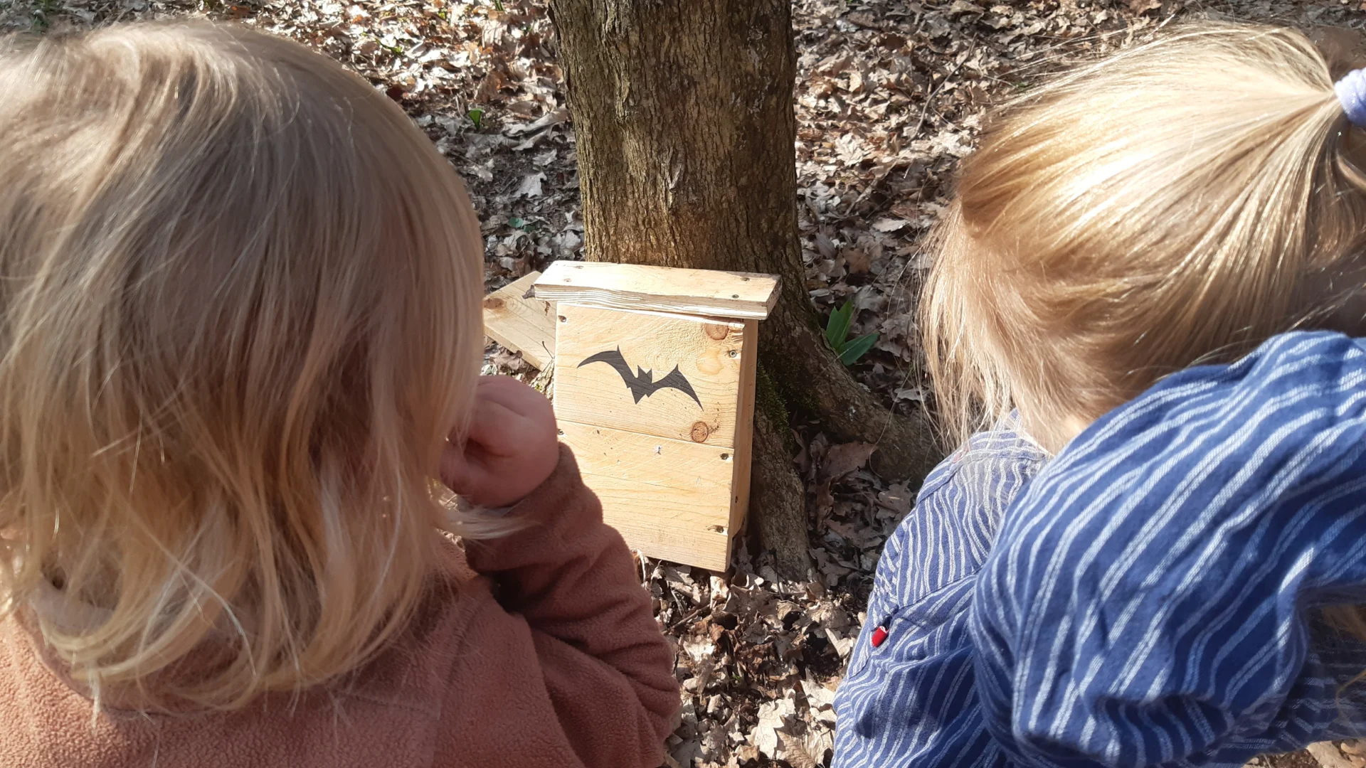 Foto der Galerie: Freilandpädagogischer Ansatz