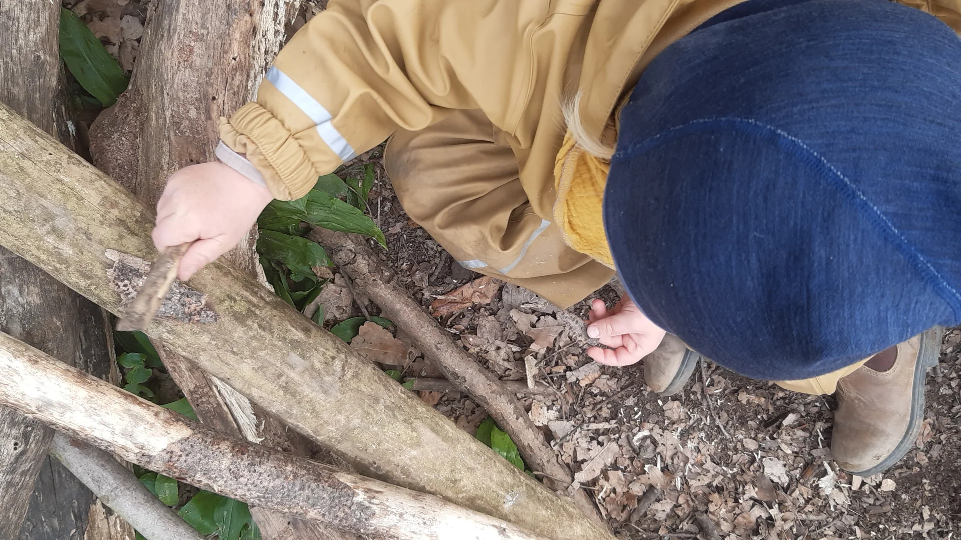 Foto der Galerie: Freilandpädagogischer Ansatz