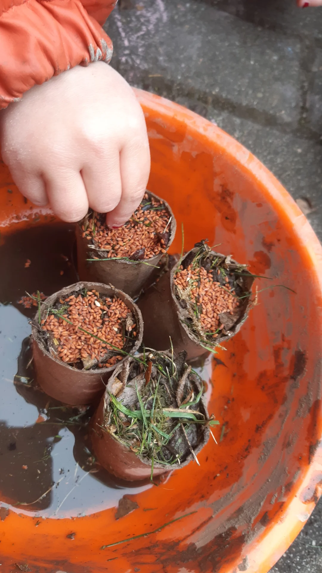 Foto der Galerie: Freilandpädagogischer Ansatz