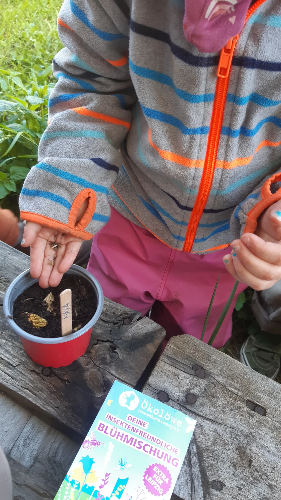 Foto der Galerie: Freilandpädagogischer Ansatz