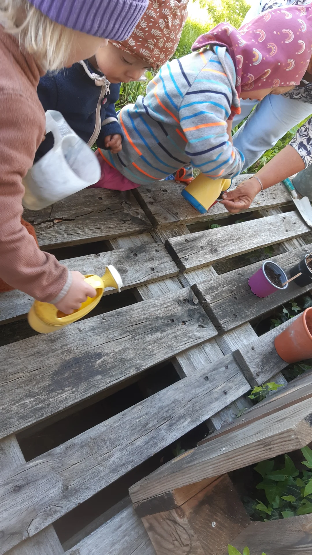 Foto der Galerie: Freilandpädagogischer Ansatz