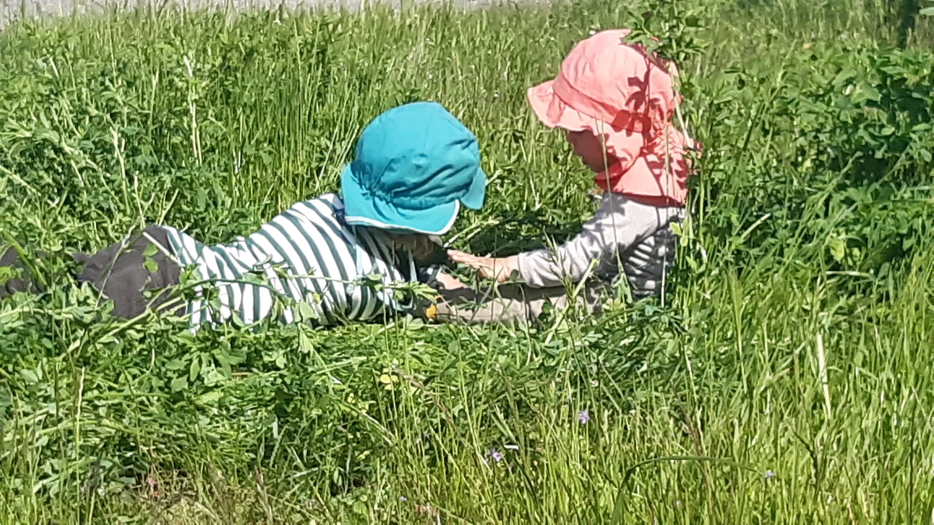 Foto der Galerie: Freilandpädagogischer Ansatz