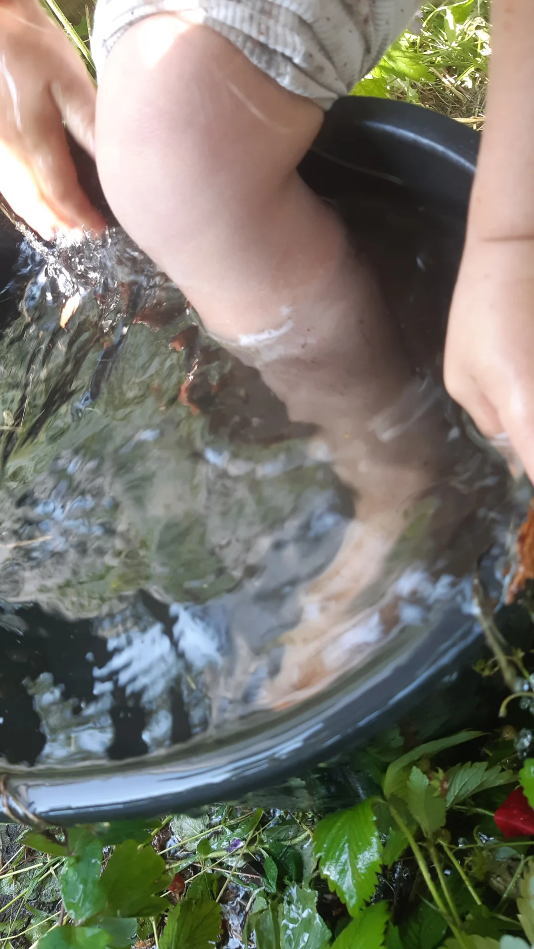 Foto der Galerie: Freilandpädagogischer Ansatz