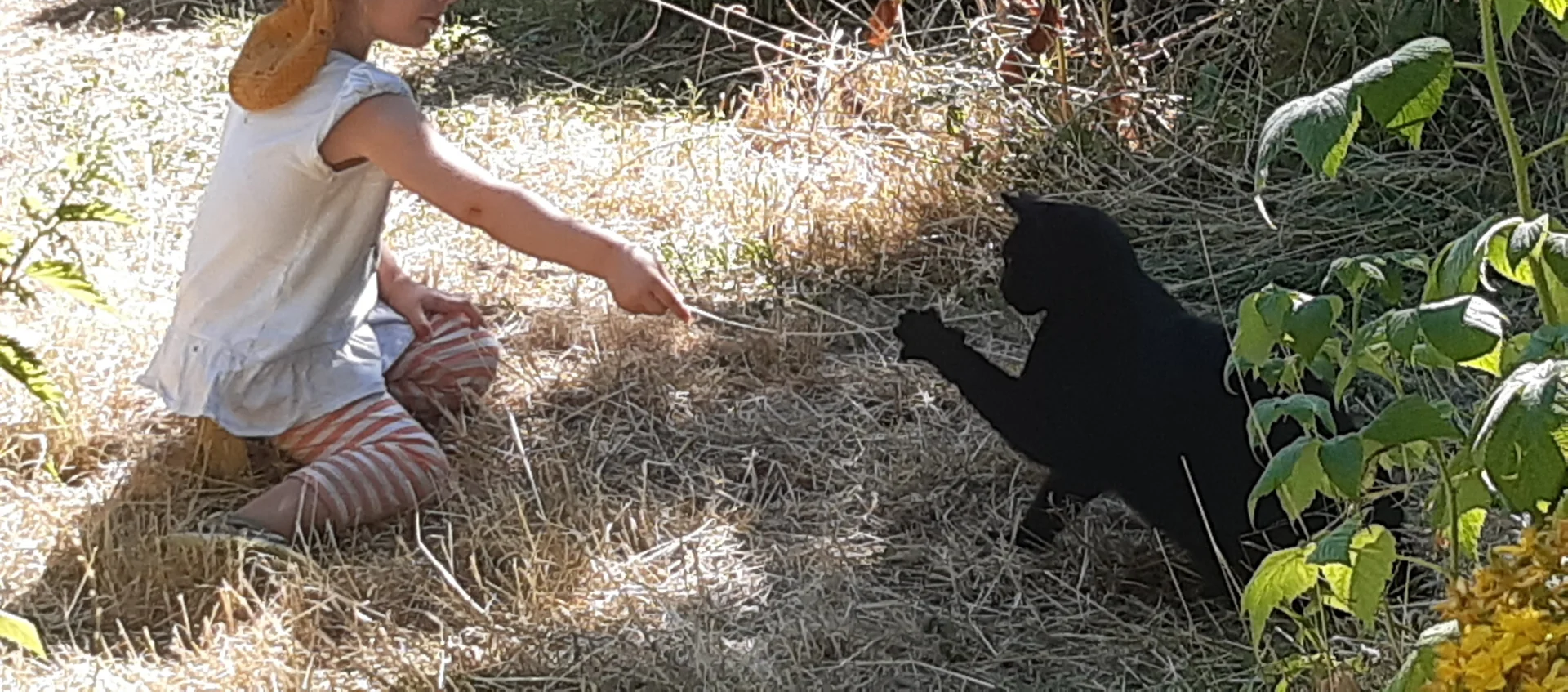 Foto der Galerie: Freilandpädagogischer Ansatz