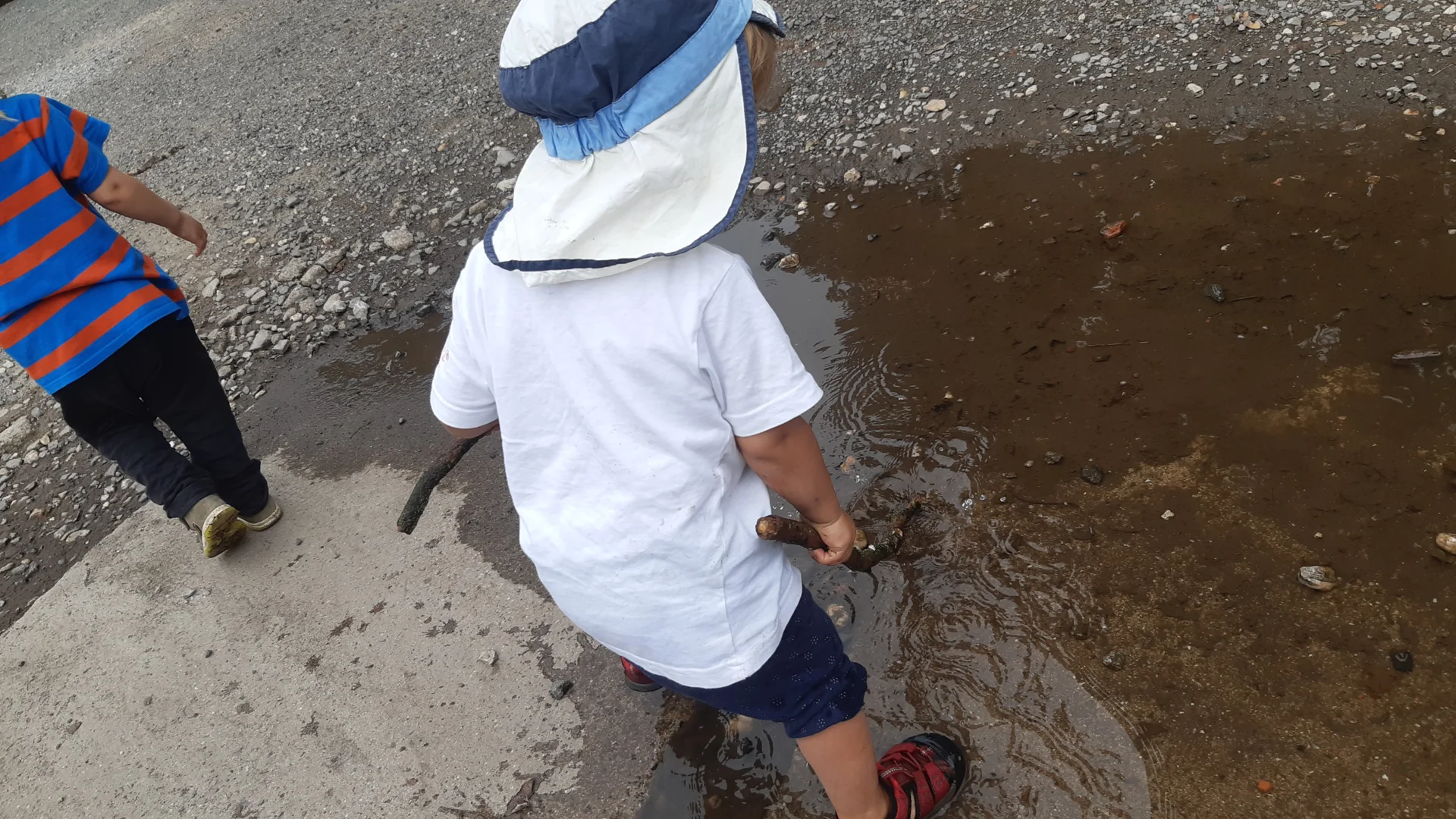 Foto der Galerie: Freilandpädagogischer Ansatz