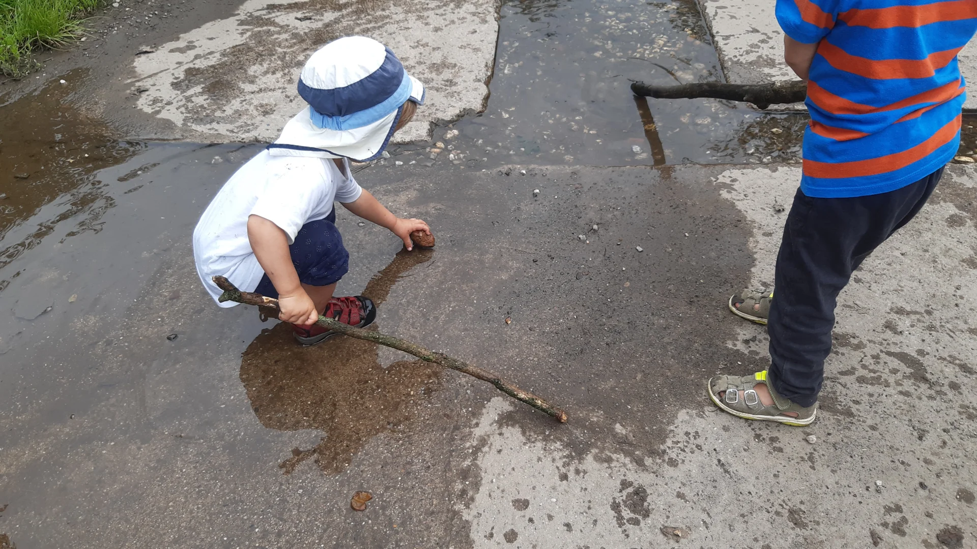 Foto der Galerie: Freilandpädagogischer Ansatz