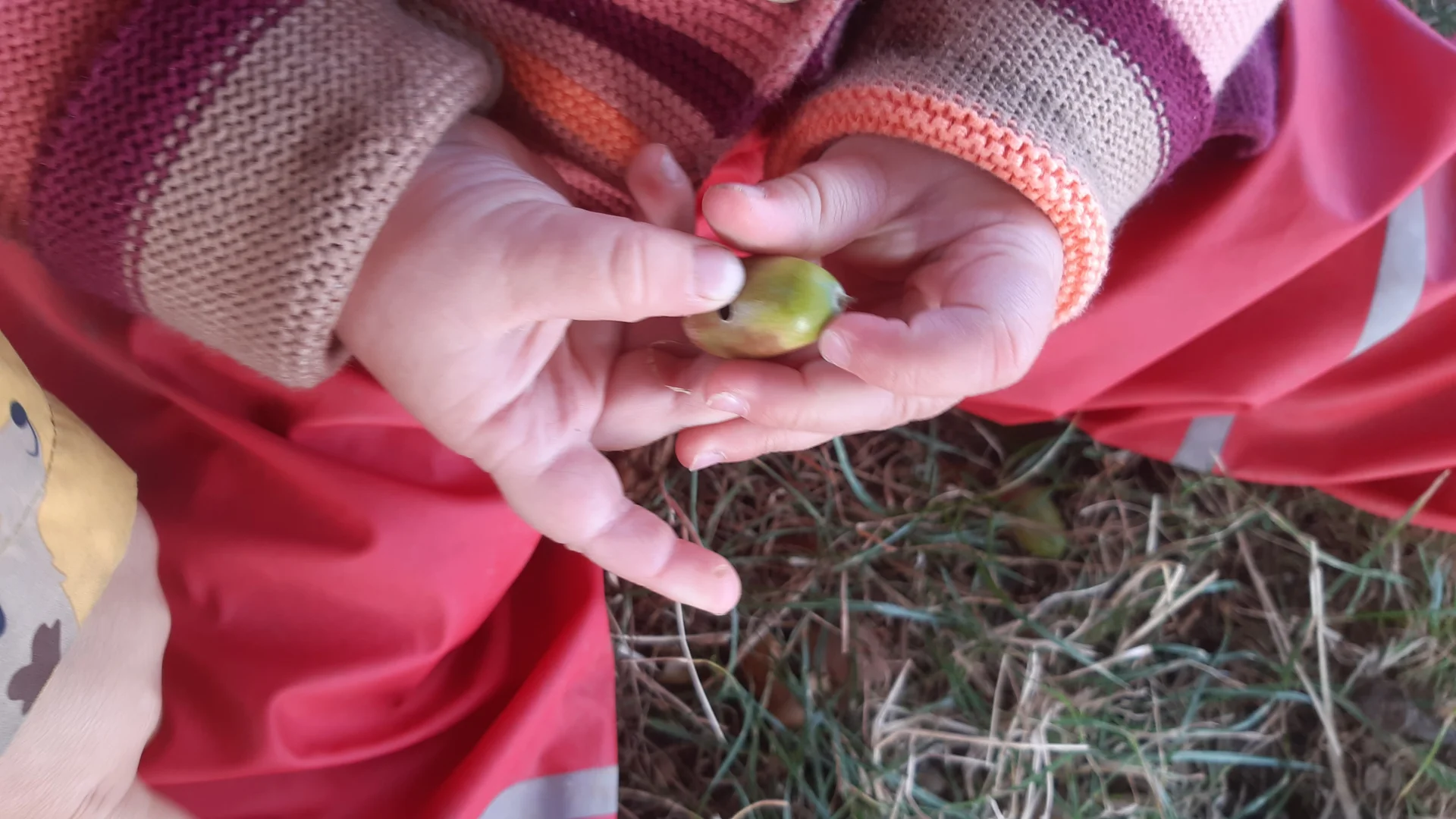 Foto der Galerie: Freilandpädagogischer Ansatz