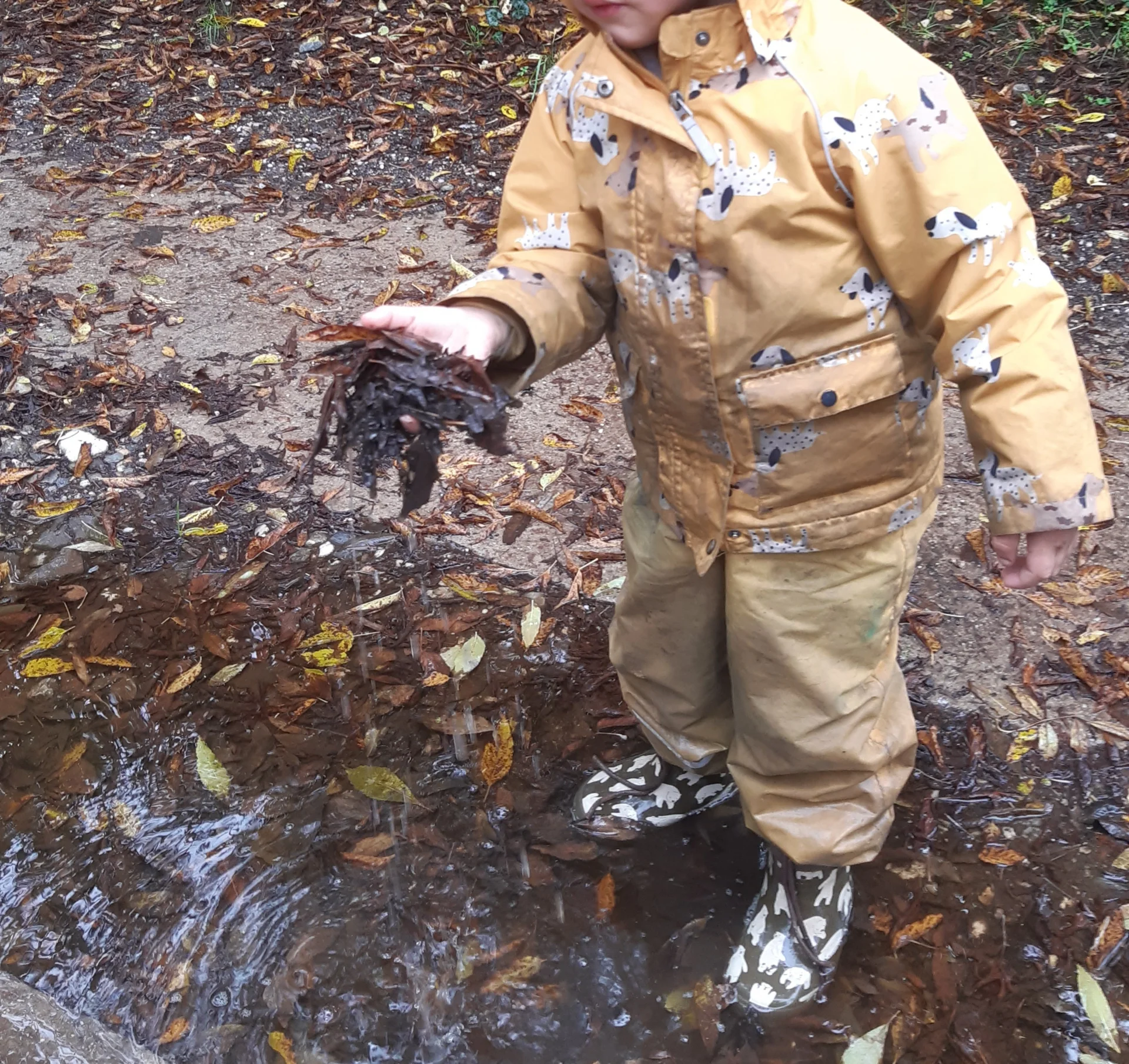 Foto der Galerie: Freilandpädagogischer Ansatz