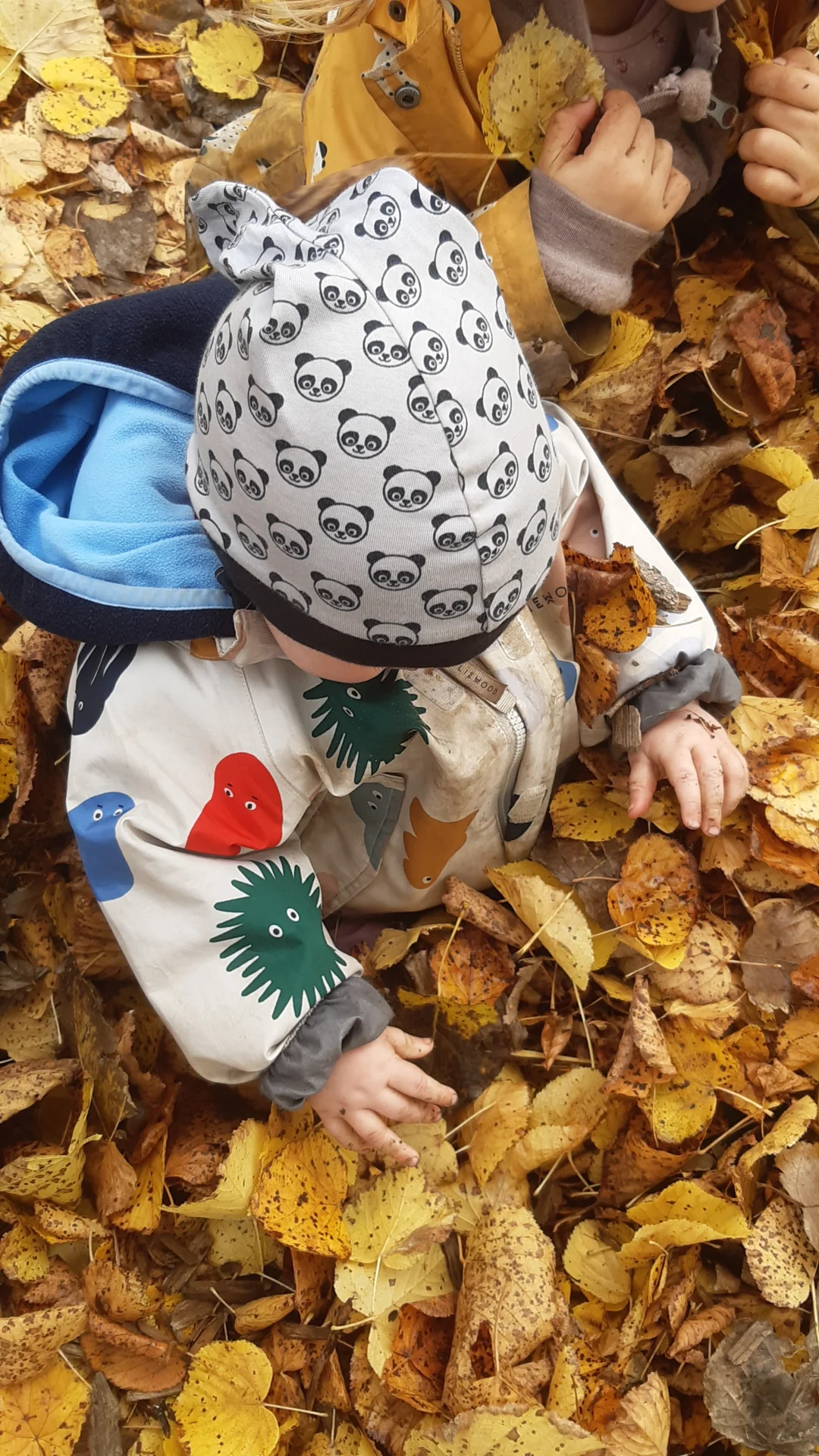 Foto der Galerie: Freilandpädagogischer Ansatz