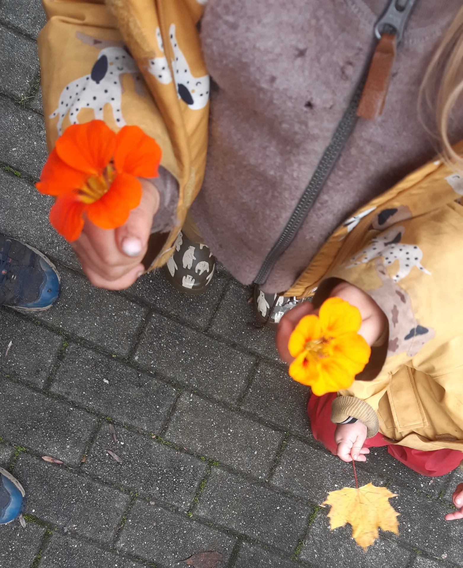 Foto der Galerie: Freilandpädagogischer Ansatz