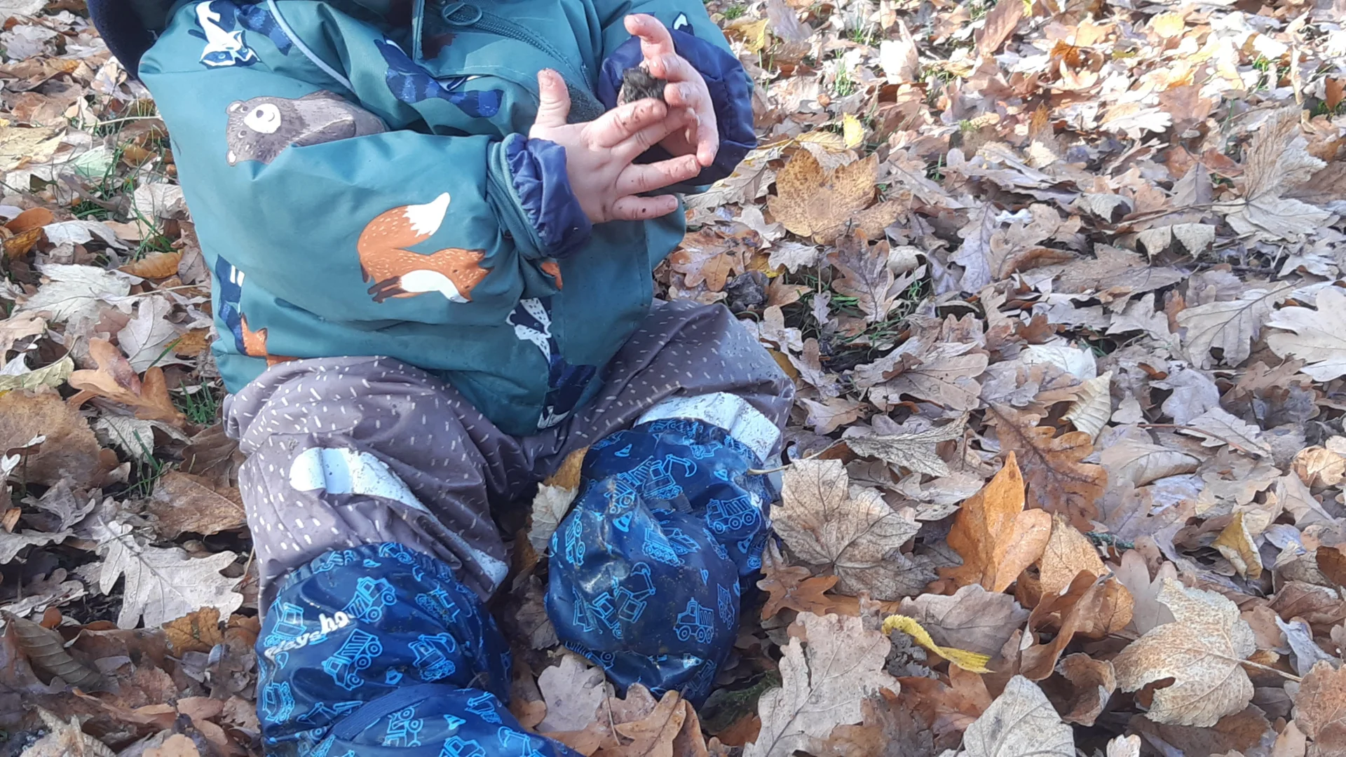 Foto der Galerie: Freilandpädagogischer Ansatz