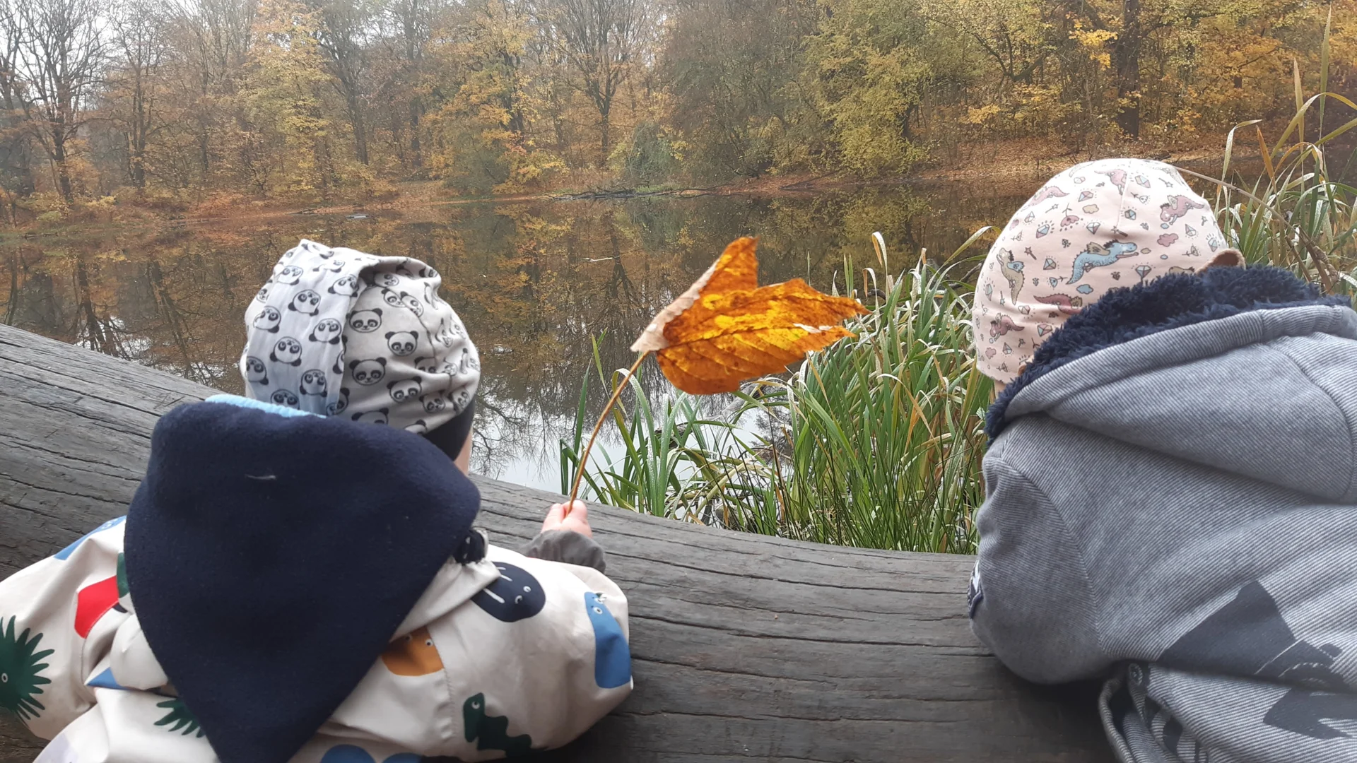 Foto der Galerie: Freilandpädagogischer Ansatz