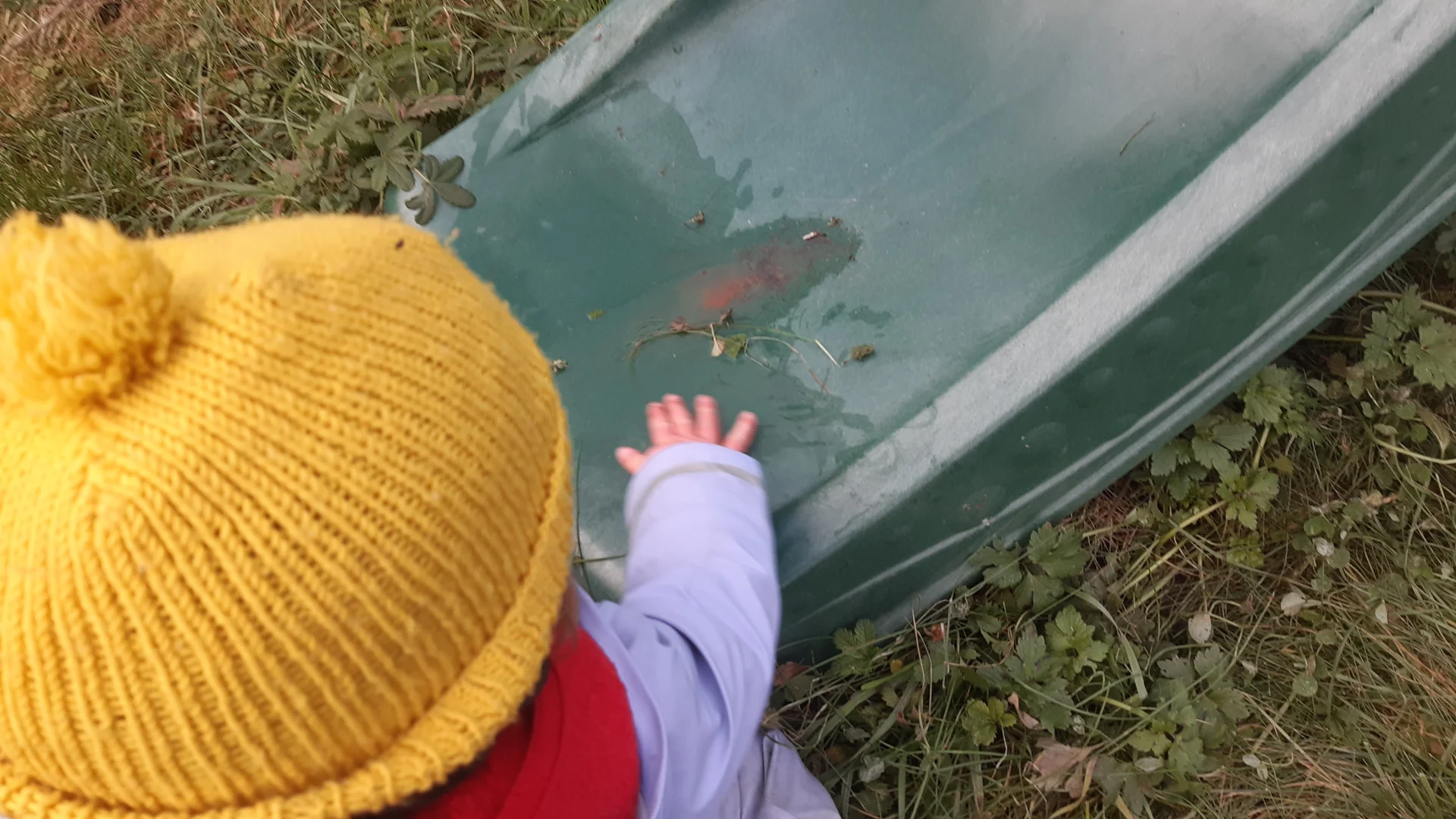 Foto der Galerie: Freilandpädagogischer Ansatz