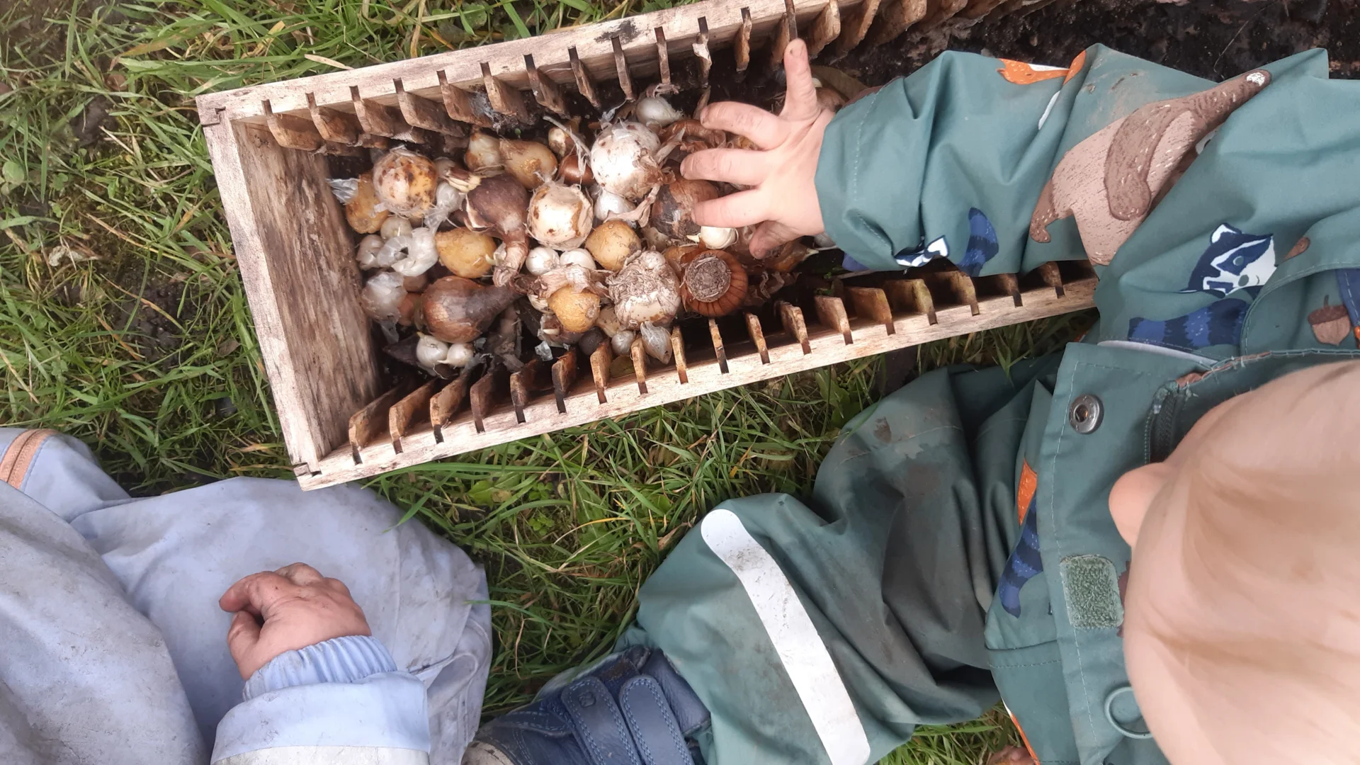 Foto der Galerie: Freilandpädagogischer Ansatz