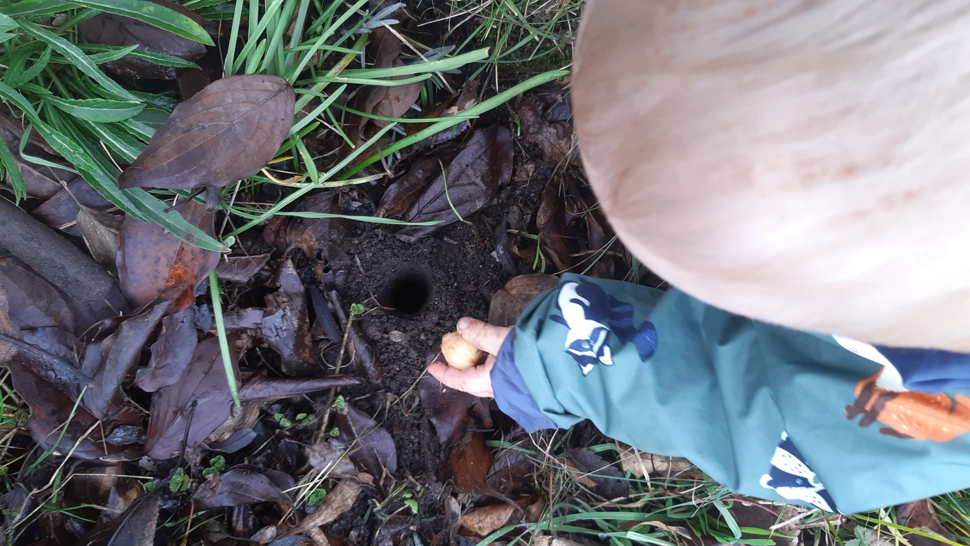 Foto der Galerie: Freilandpädagogischer Ansatz