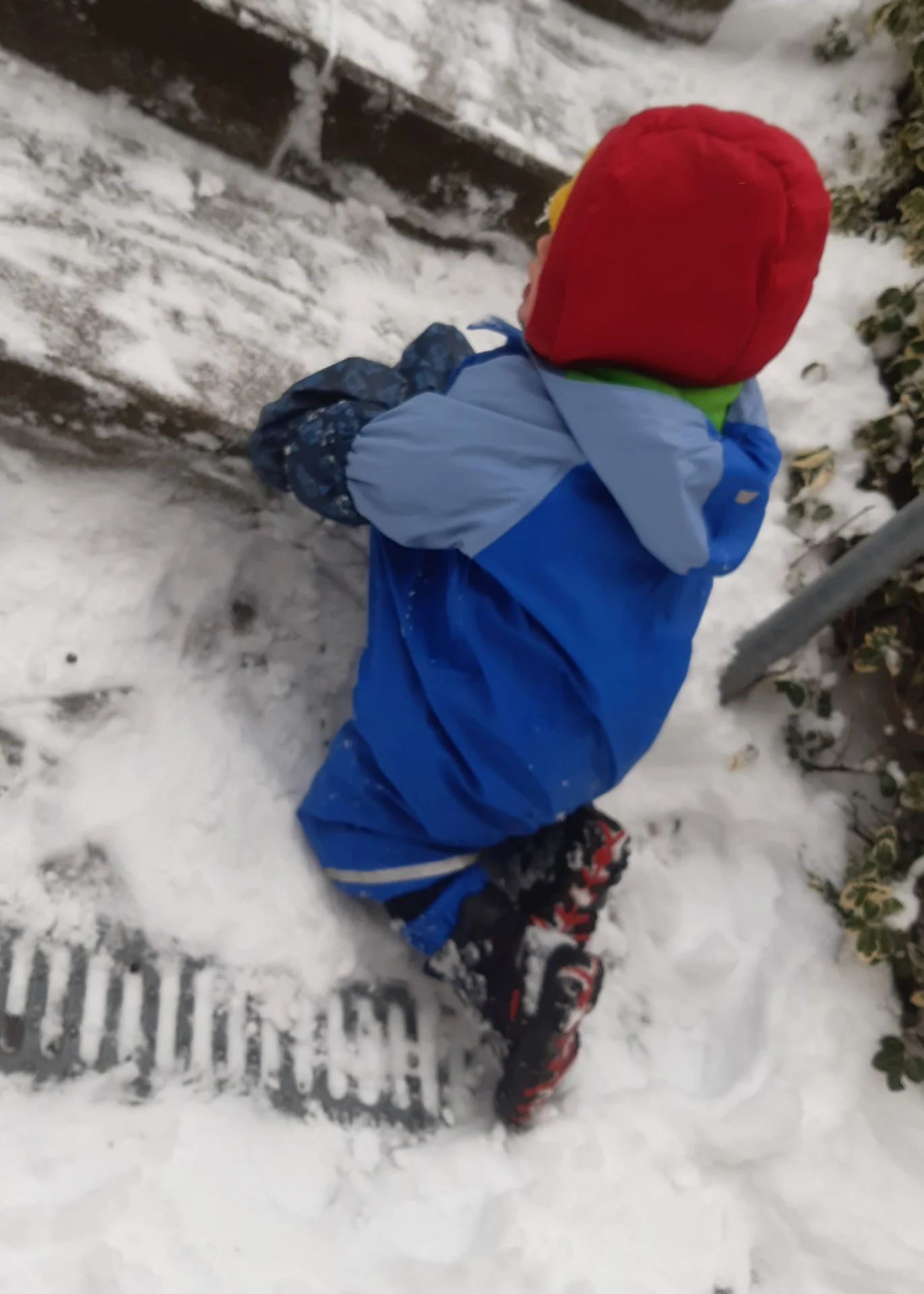 Foto der Galerie: Freilandpädagogischer Ansatz