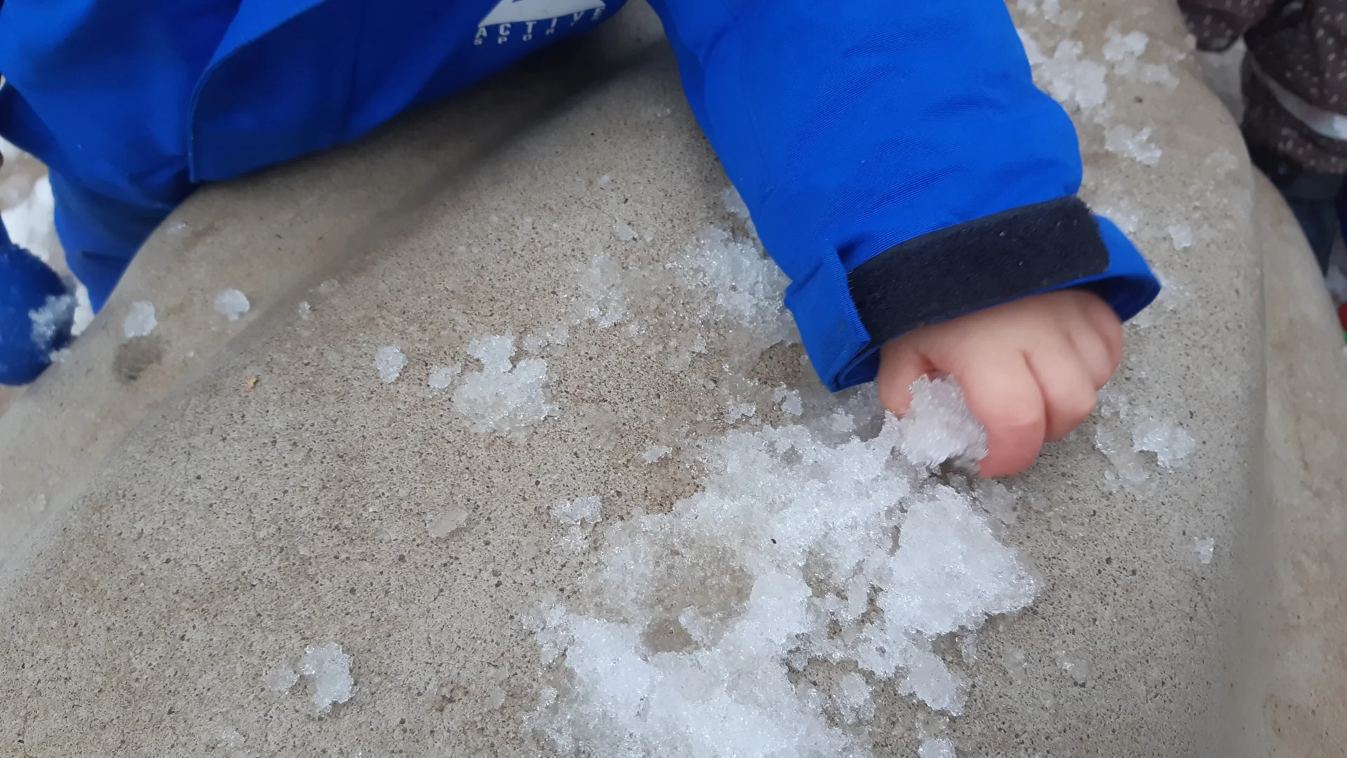 Foto der Galerie: Freilandpädagogischer Ansatz