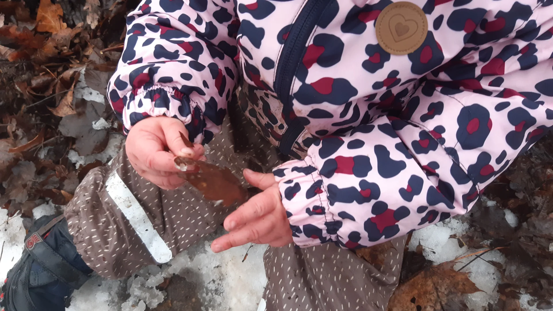 Foto der Galerie: Freilandpädagogischer Ansatz