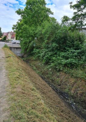 Vorschaubild: ... in der Stadt Sangerhausen