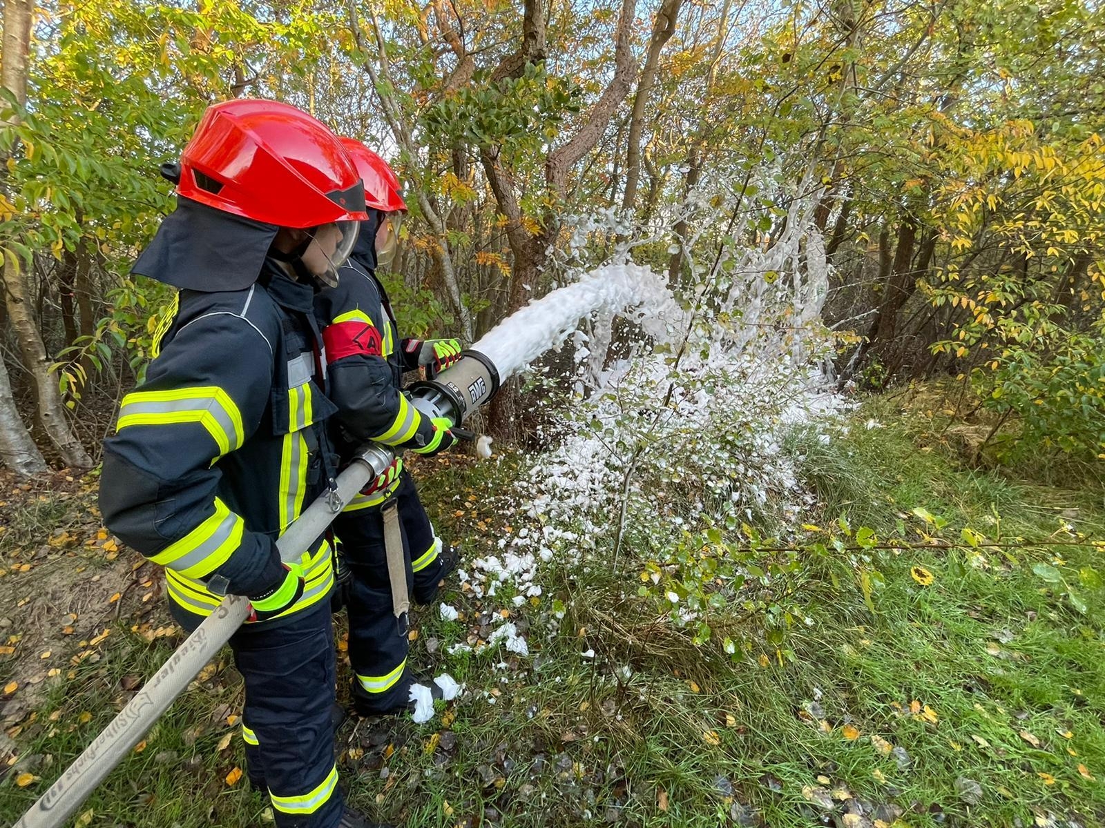 Foto @Achim Dallmer  (Bild vergr&ouml;&szlig;ern)