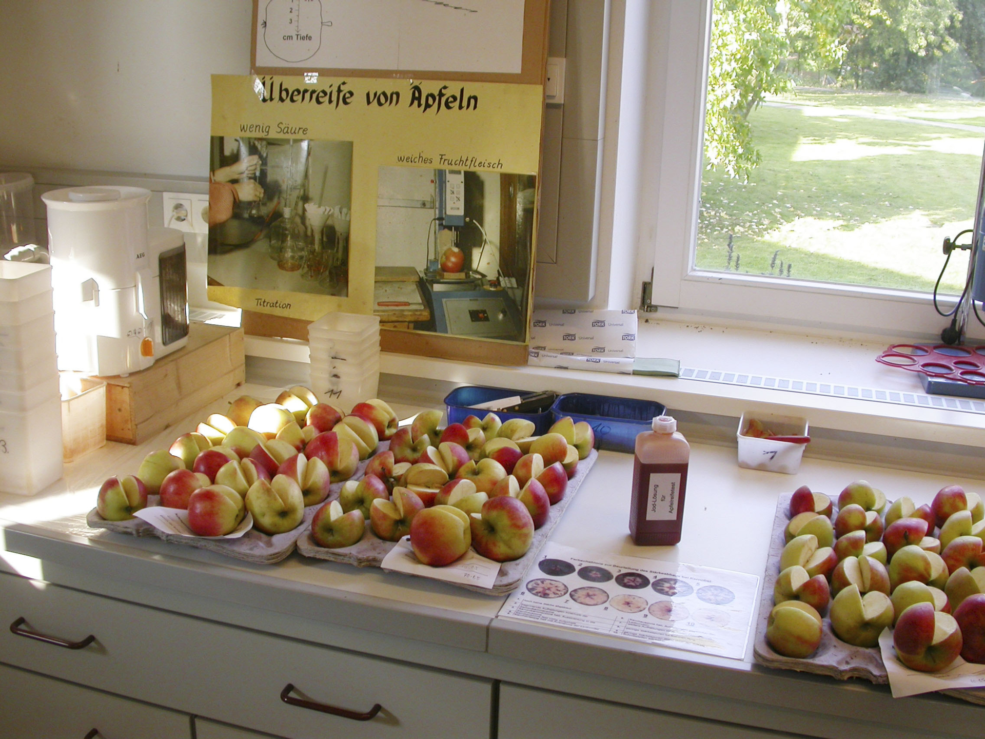 Bild der Galerie