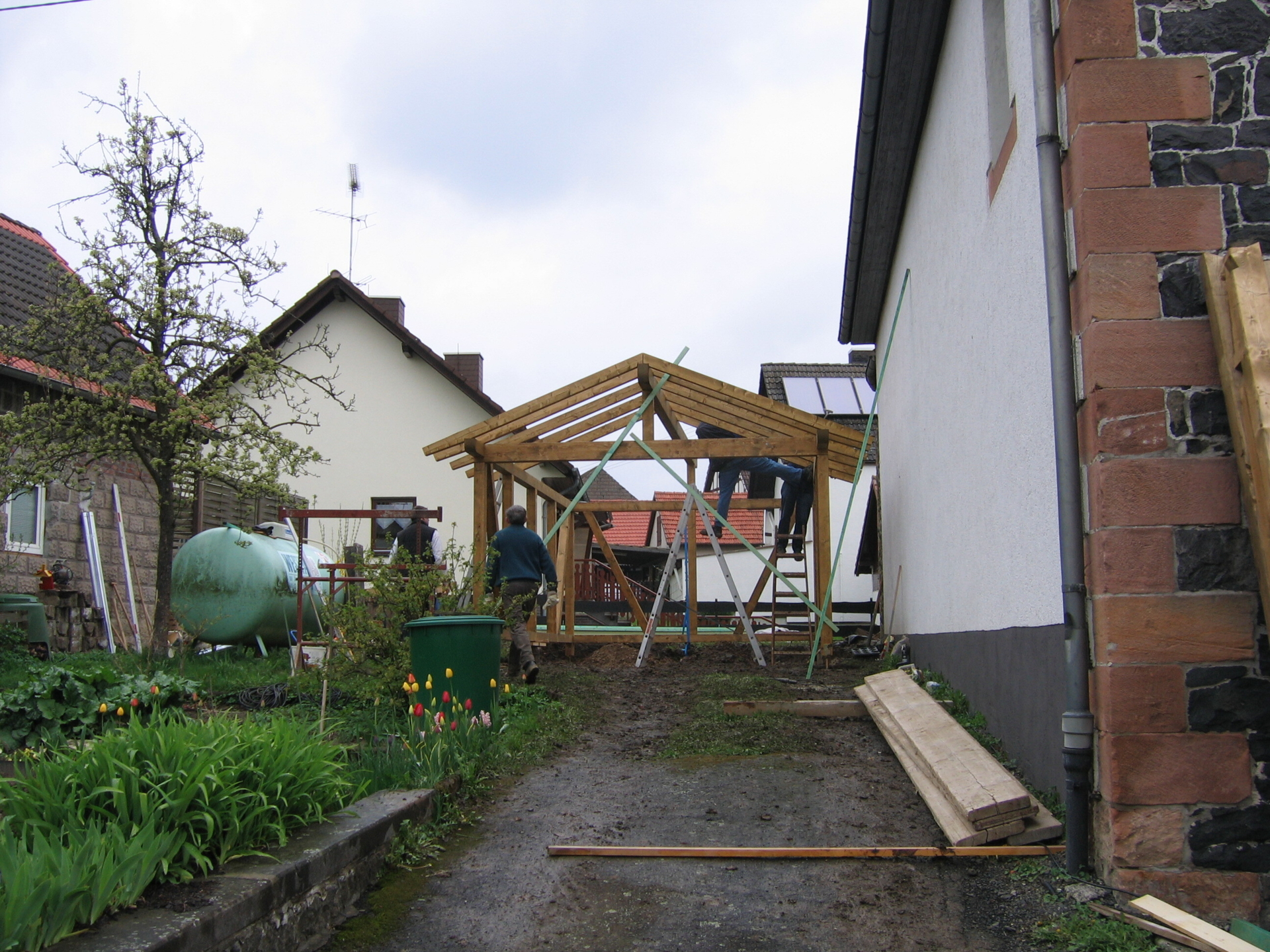 Bild der Galerie