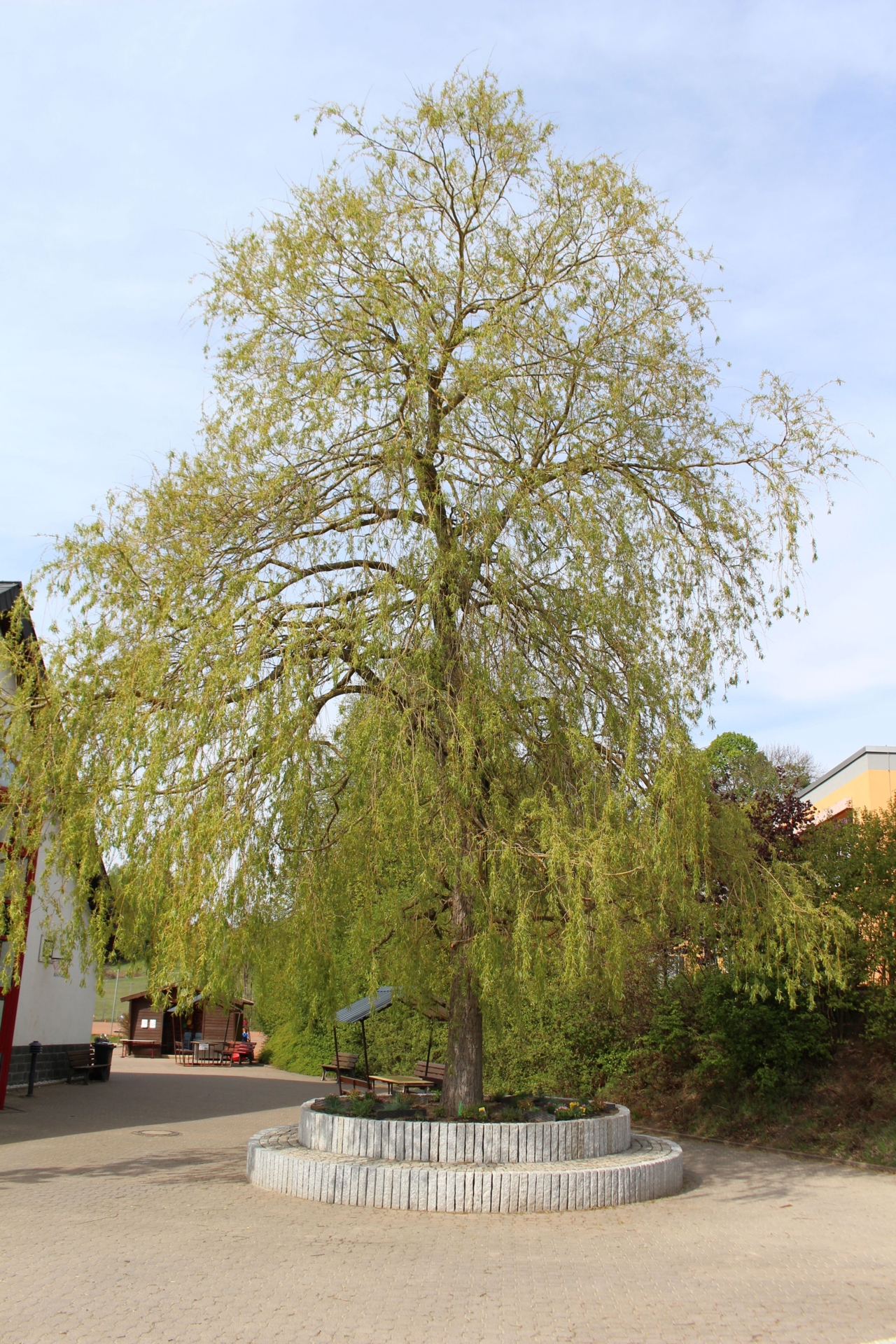 Bild: Sitzbereich Schulhof