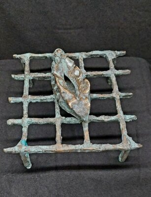 Vorschaubild: Vulva auf Gitter