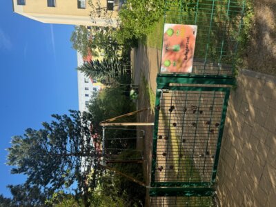 Vorschaubild: Ruhegarten