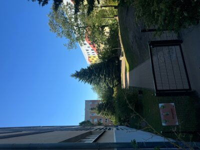 Vorschaubild: Ruhegarten